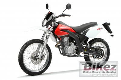 2010 Derbi Senda Baja 125R photo
